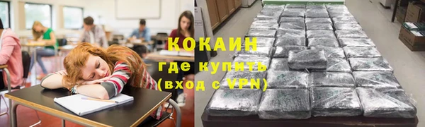 шишки Балахна